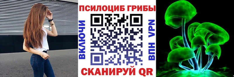 Псилоцибиновые грибы Magic Shrooms  Новоузенск 